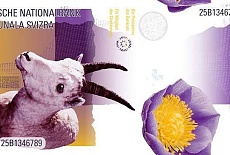 В Швейцарии выбирают «галлюциногенный» дизайн для франков